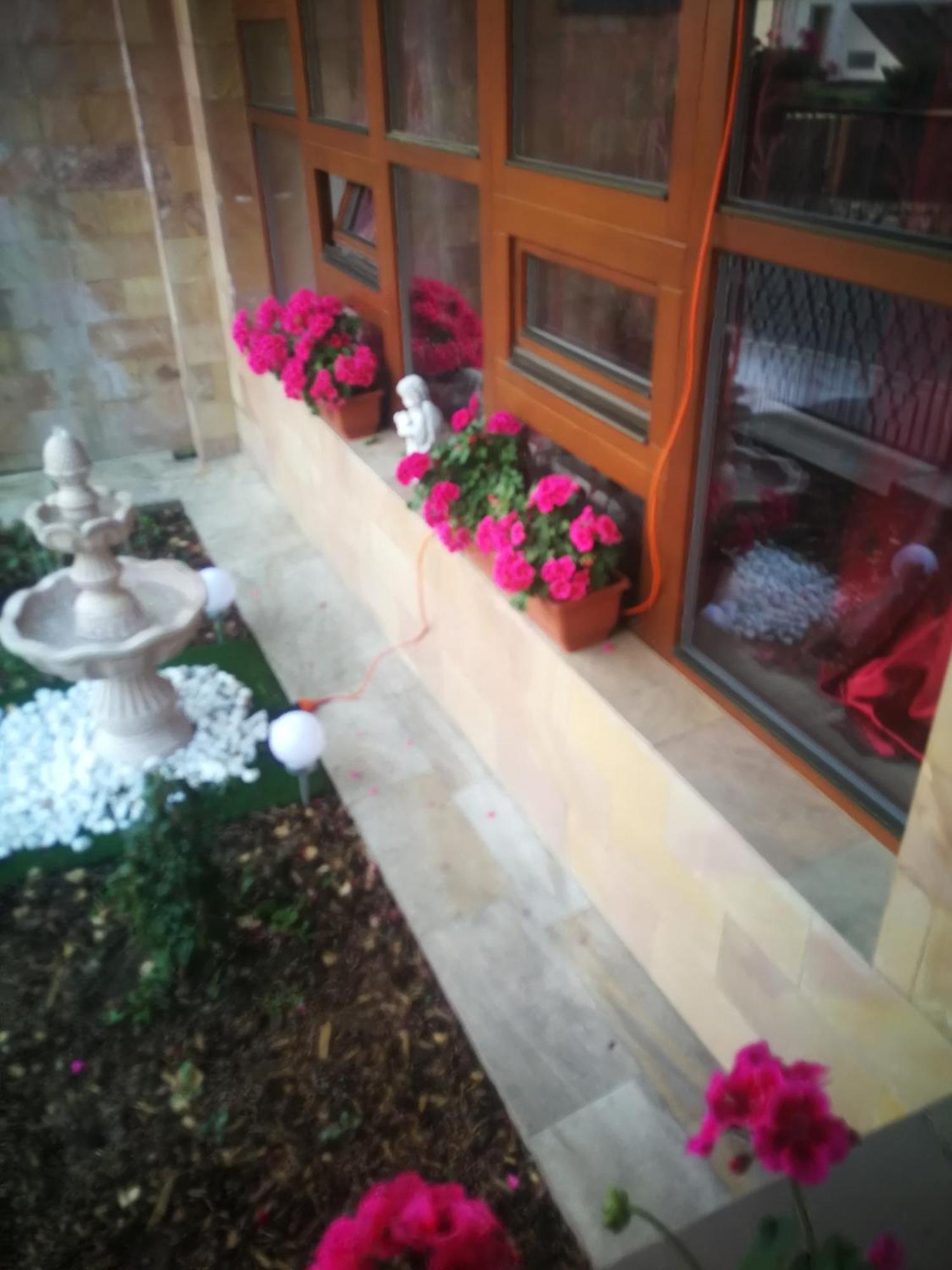 Villa Barrandov Pokoj 3 Прага Экстерьер фото